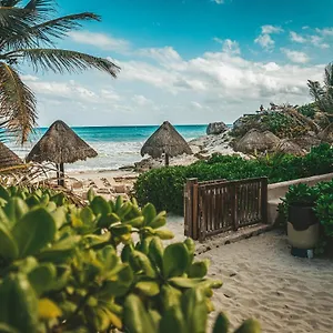 **** Hotel La Conchita (adults Only) Mexiko